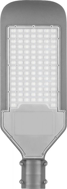 Светильник уличный светодиодный 100W SP2924 Feron (32216)